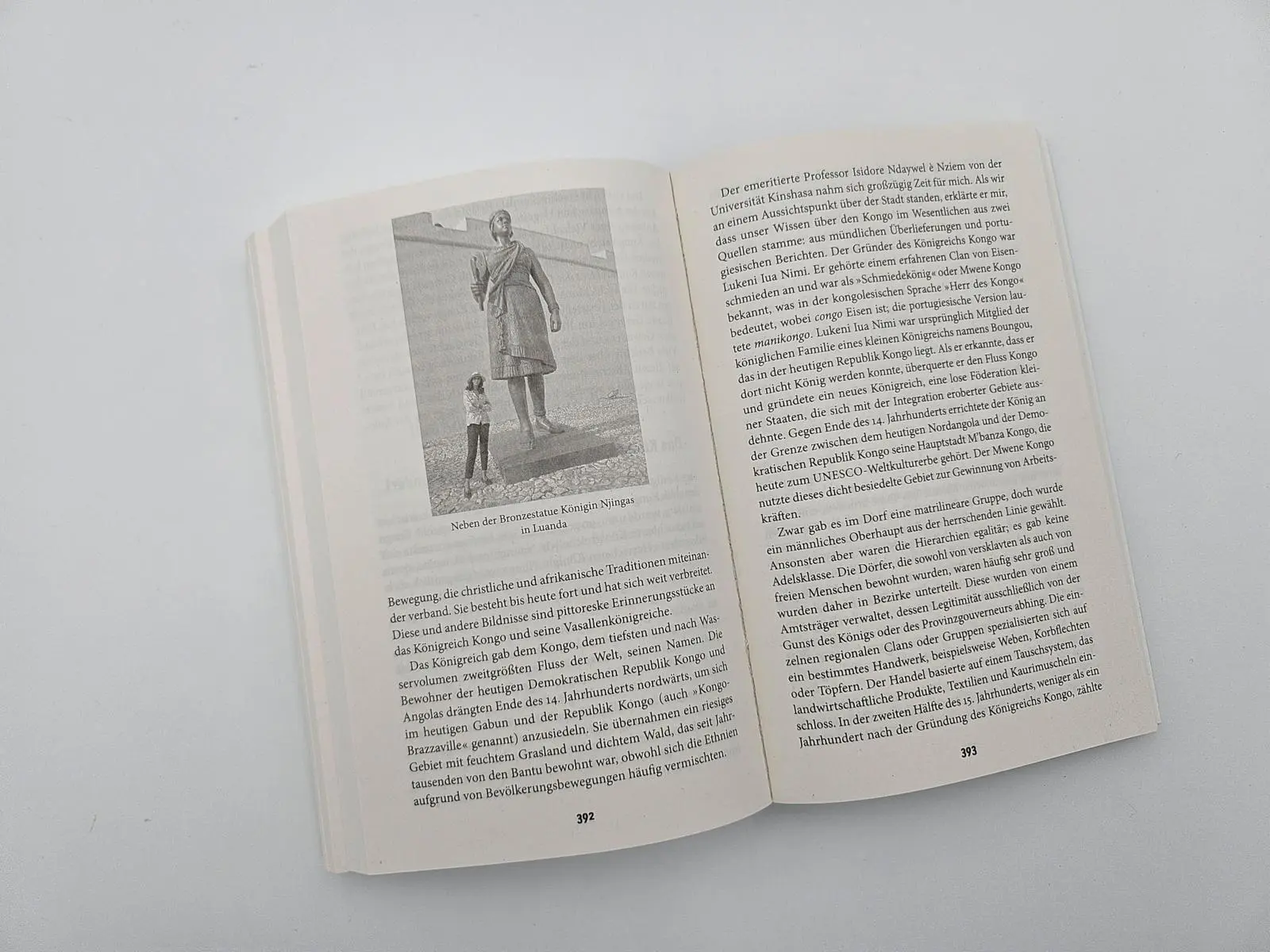 Bild: 9783492321884 | Eine afrikanische Geschichte Afrikas | Zeinab Badawi | Taschenbuch