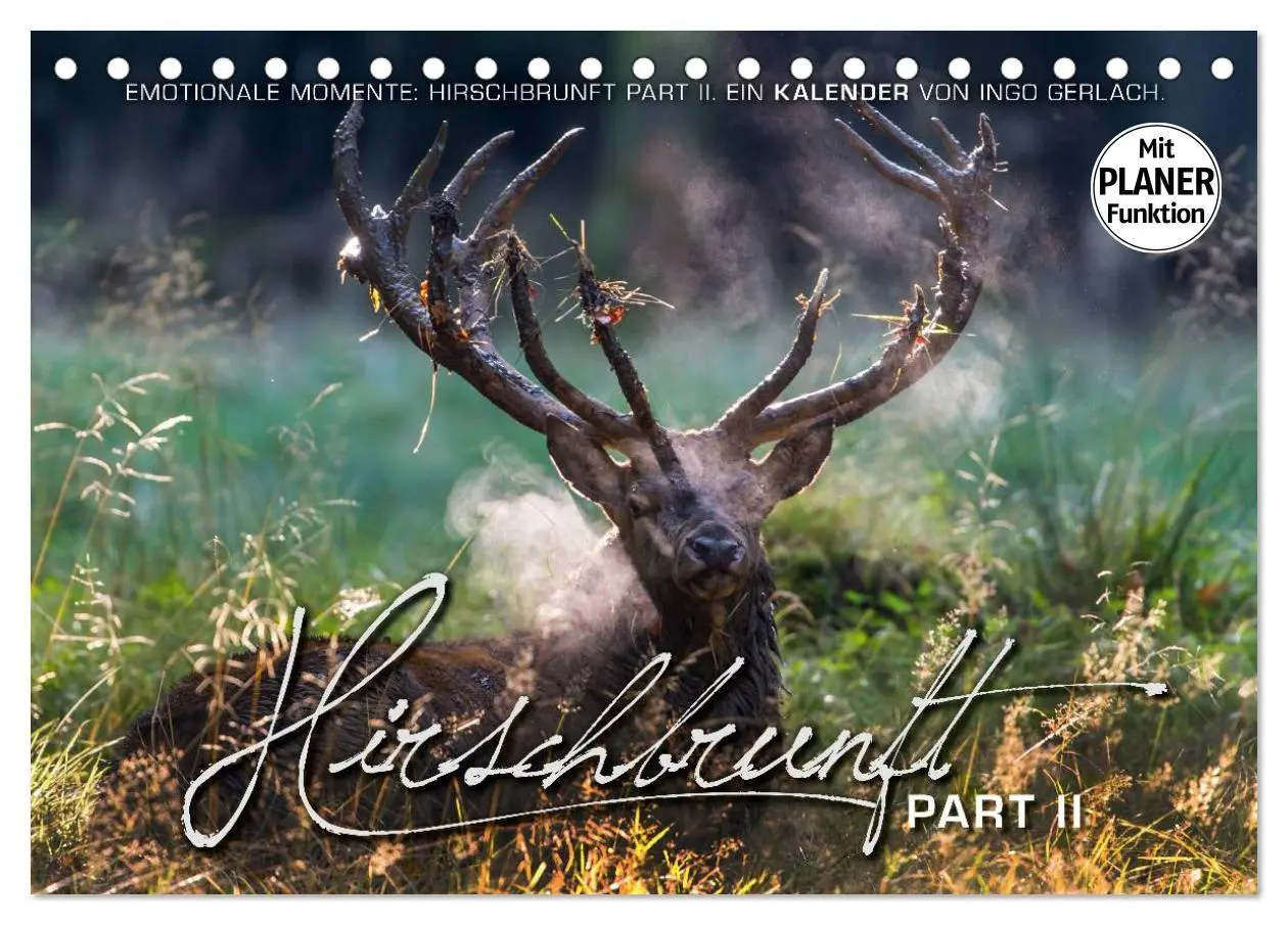 Cover: 9783516001884 | Emotionale Momente: Hirschbrunft. Part II. (Tischkalender 2026 DIN...