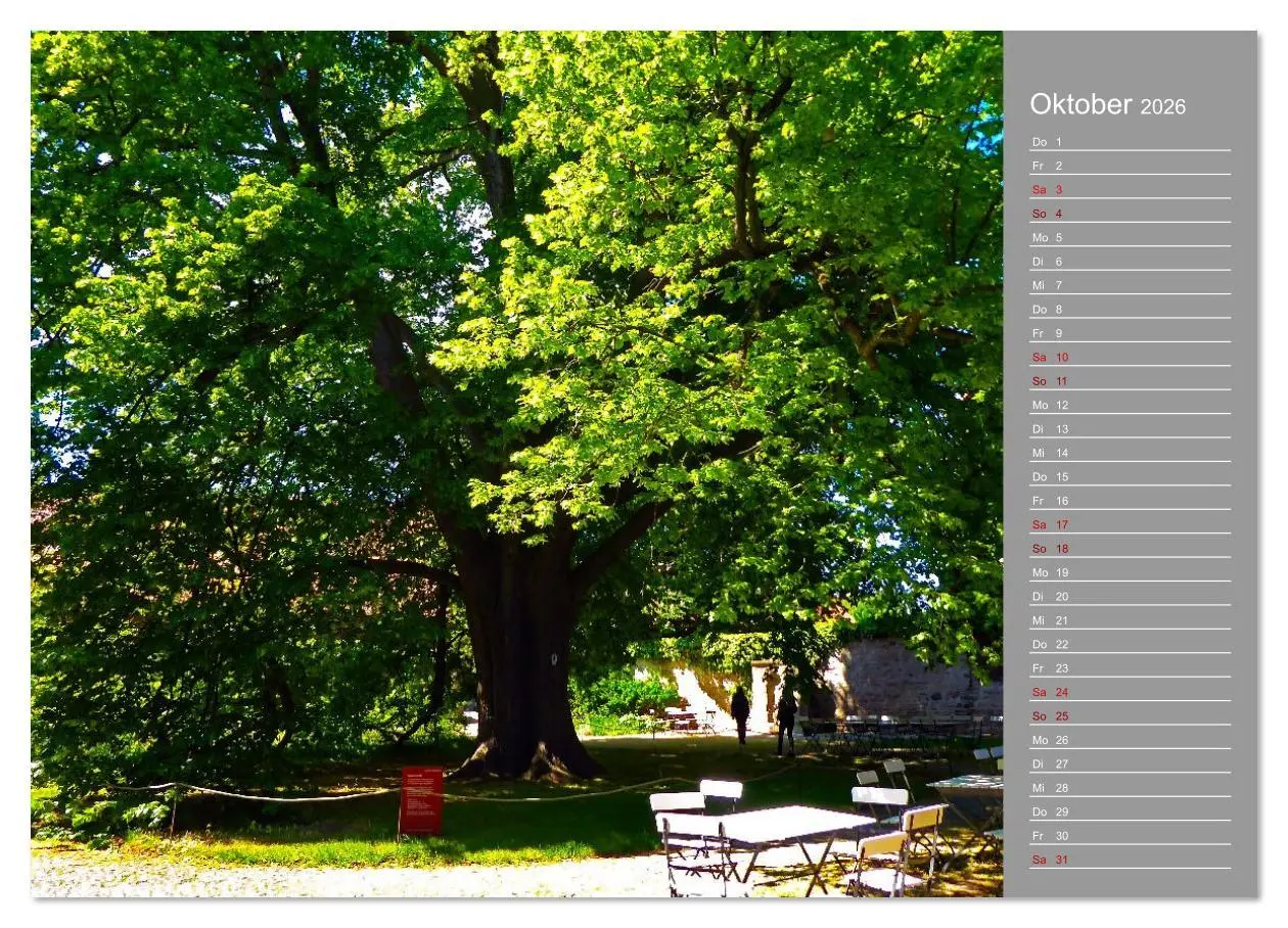 Bild: 9783516621884 | Kloster Drübeck-Ehemalige Harzer Benediktiner-Abtei (Wandkalender...