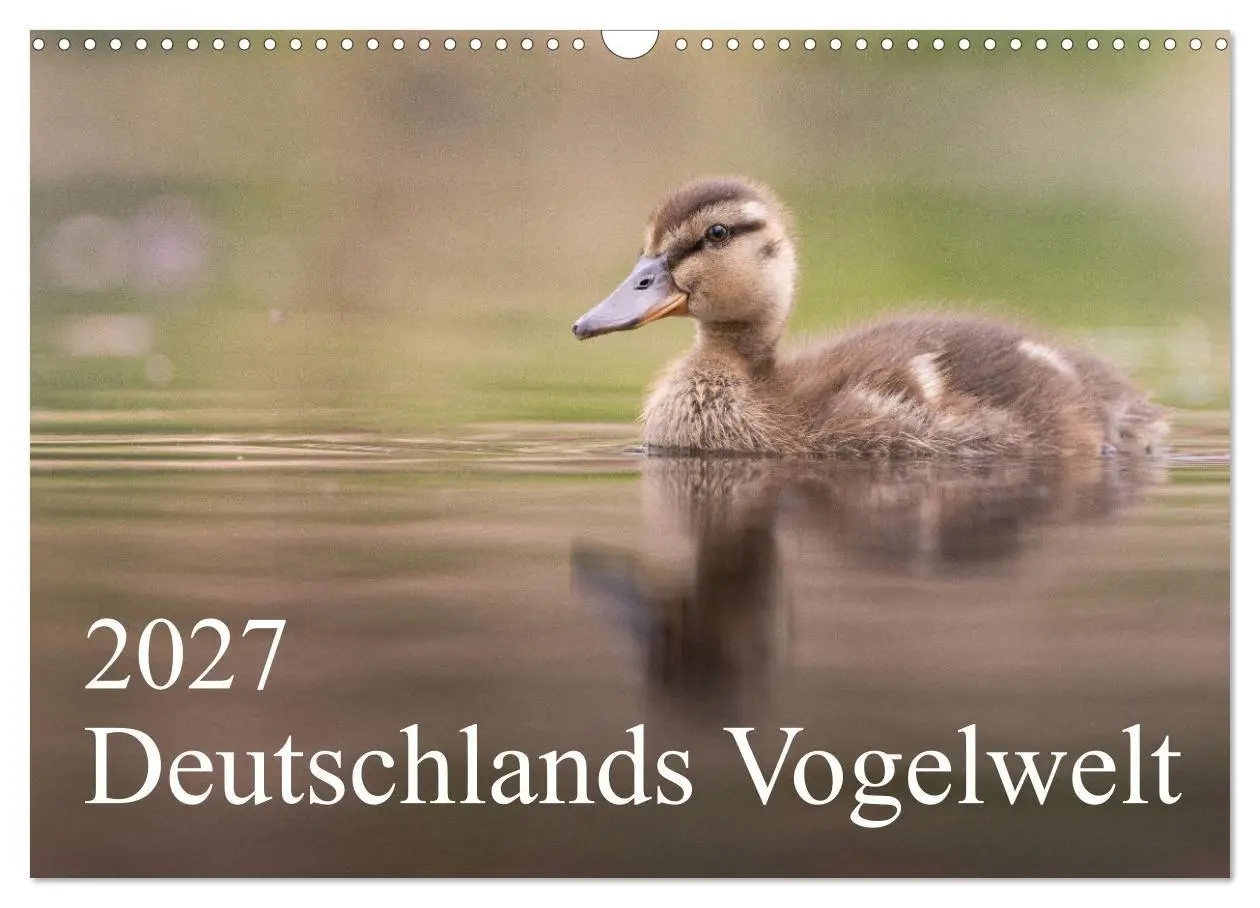 Cover: 9783569331884 | Deutschlands Vogelwelt (Wandkalender 2027 DIN A3 quer), CALVENDO...