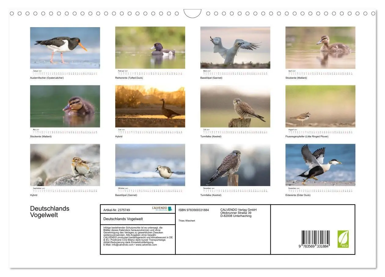 Bild: 9783569331884 | Deutschlands Vogelwelt (Wandkalender 2027 DIN A3 quer), CALVENDO...