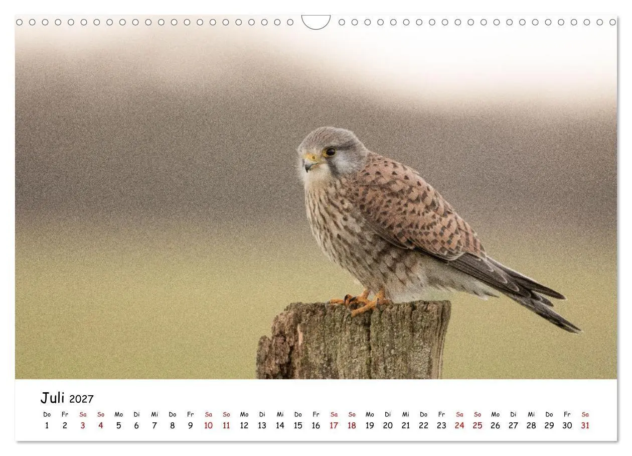 Bild: 9783569331884 | Deutschlands Vogelwelt (Wandkalender 2027 DIN A3 quer), CALVENDO...