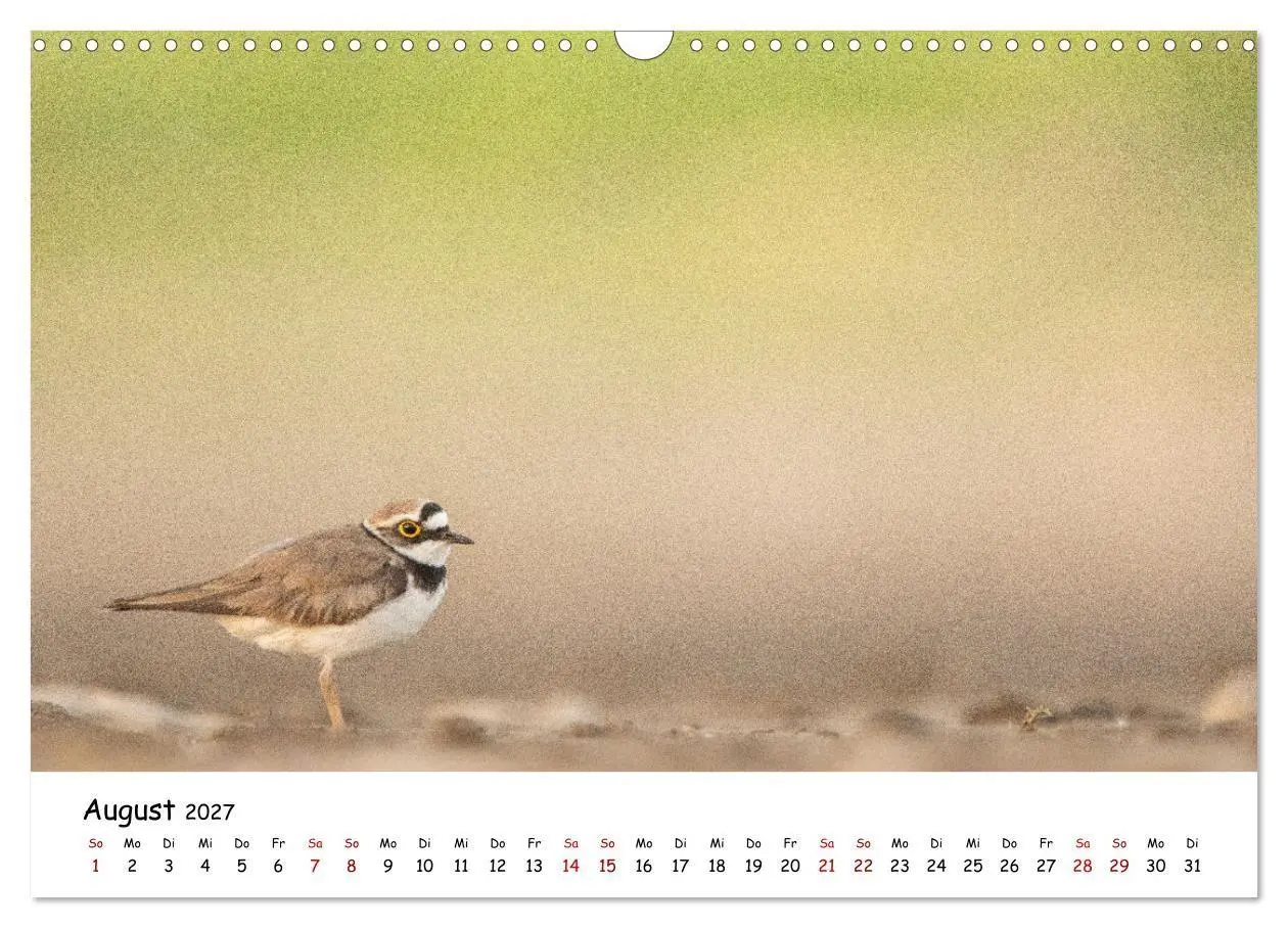Bild: 9783569331884 | Deutschlands Vogelwelt (Wandkalender 2027 DIN A3 quer), CALVENDO...