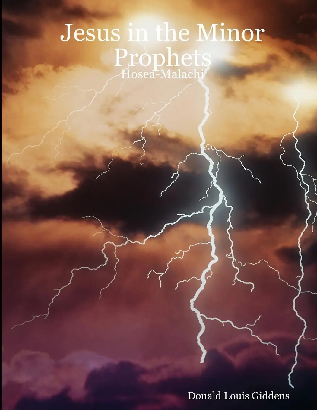 Cover: 9781435701984 | Jesus in the Minor Prophets | Hosea-Malachi | Donald Louis Giddens