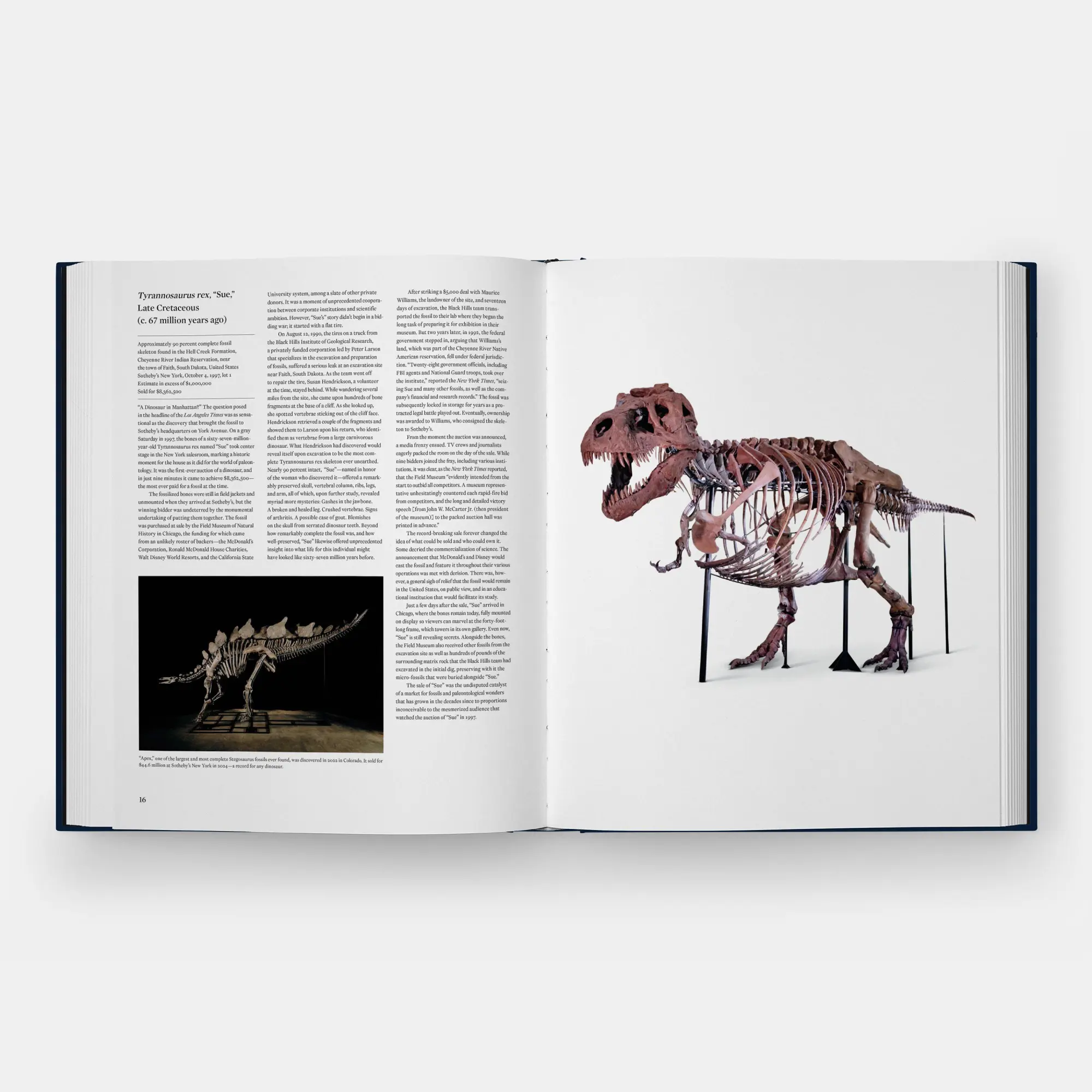 Bild: 9781837291984 | Icons | 100 Extraordinary Objects from Sotheby's History | Sotheby's