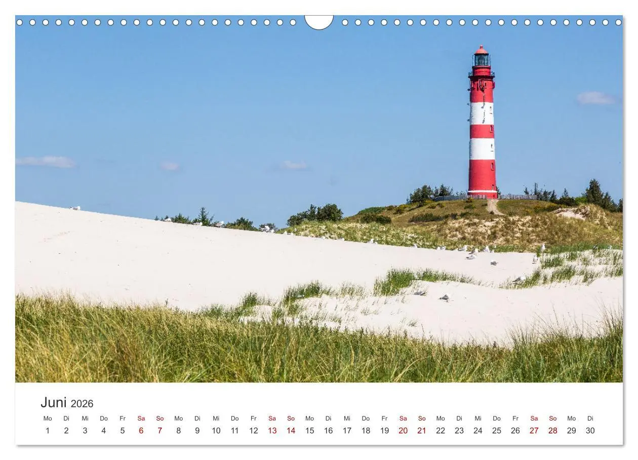 Bild: 9783457521984 | Amrum - Perle der Nordsee (Wandkalender 2026 DIN A3 quer), CALVENDO...