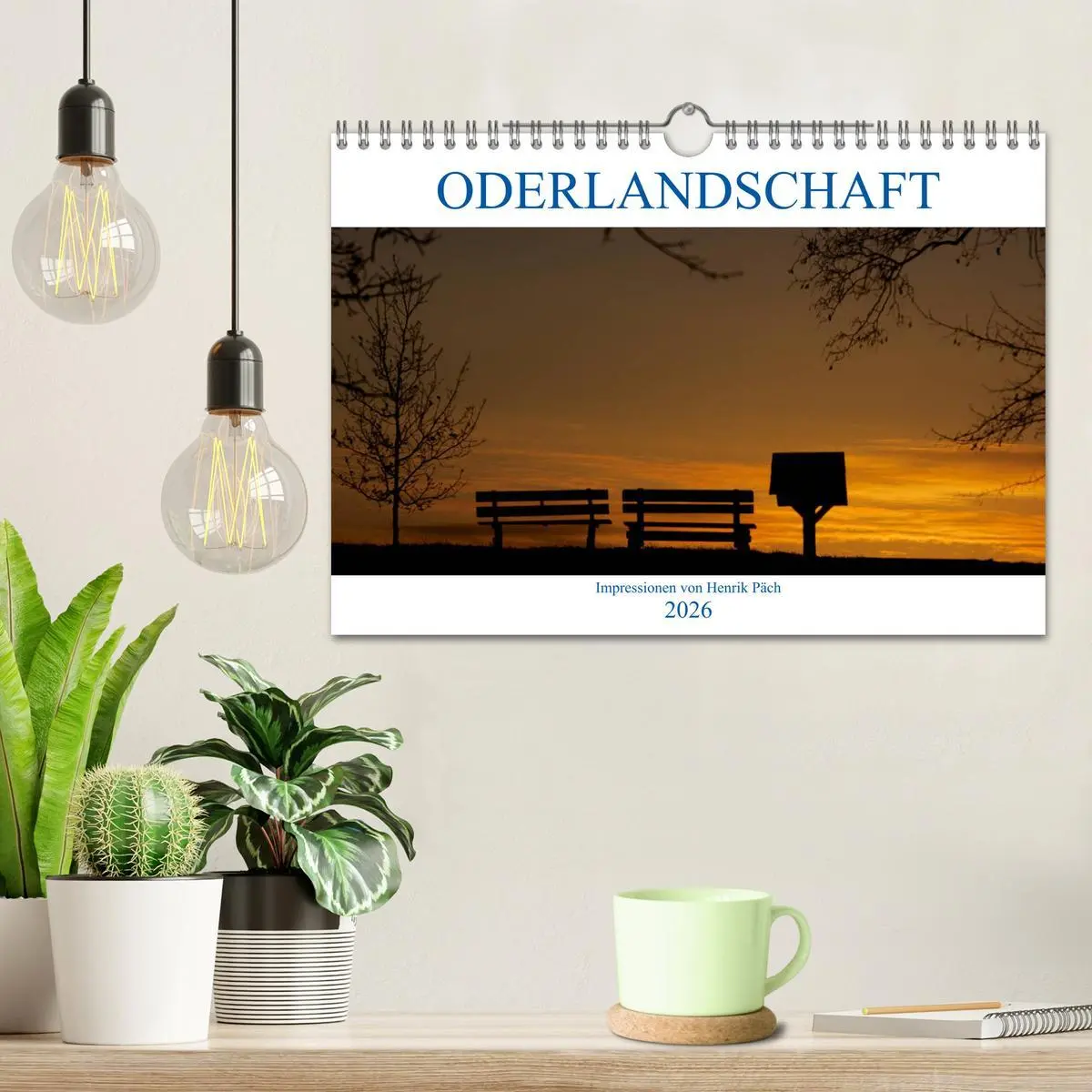 Bild: 9783457901984 | Oderlandschaft (Wandkalender 2026 DIN A4 quer), CALVENDO...