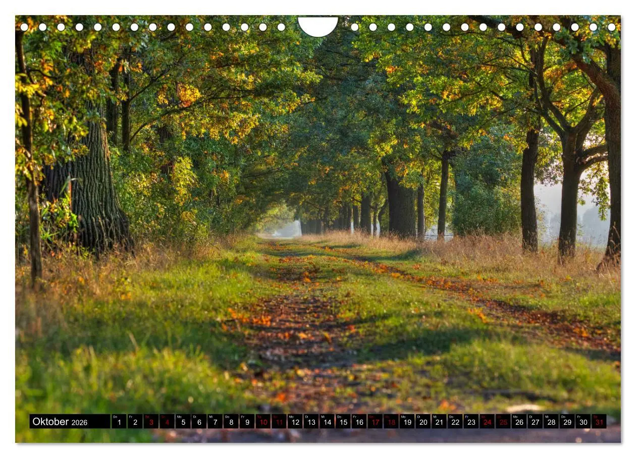 Bild: 9783457901984 | Oderlandschaft (Wandkalender 2026 DIN A4 quer), CALVENDO...