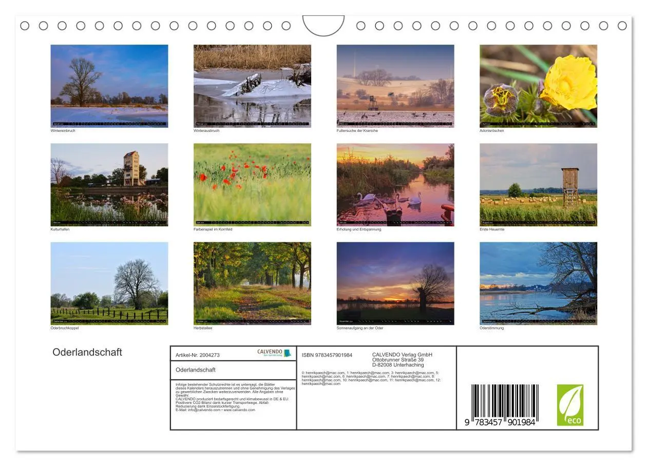 Bild: 9783457901984 | Oderlandschaft (Wandkalender 2026 DIN A4 quer), CALVENDO...