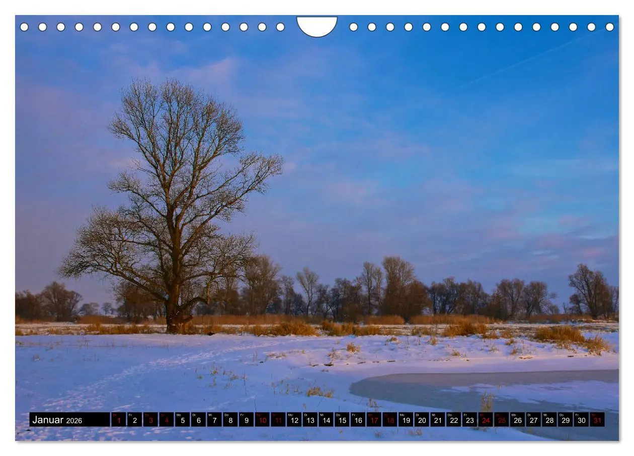 Bild: 9783457901984 | Oderlandschaft (Wandkalender 2026 DIN A4 quer), CALVENDO...