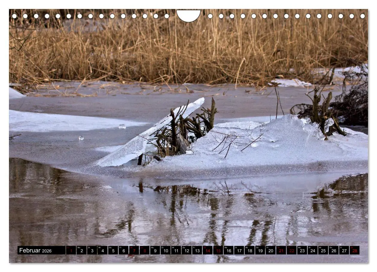 Bild: 9783457901984 | Oderlandschaft (Wandkalender 2026 DIN A4 quer), CALVENDO...