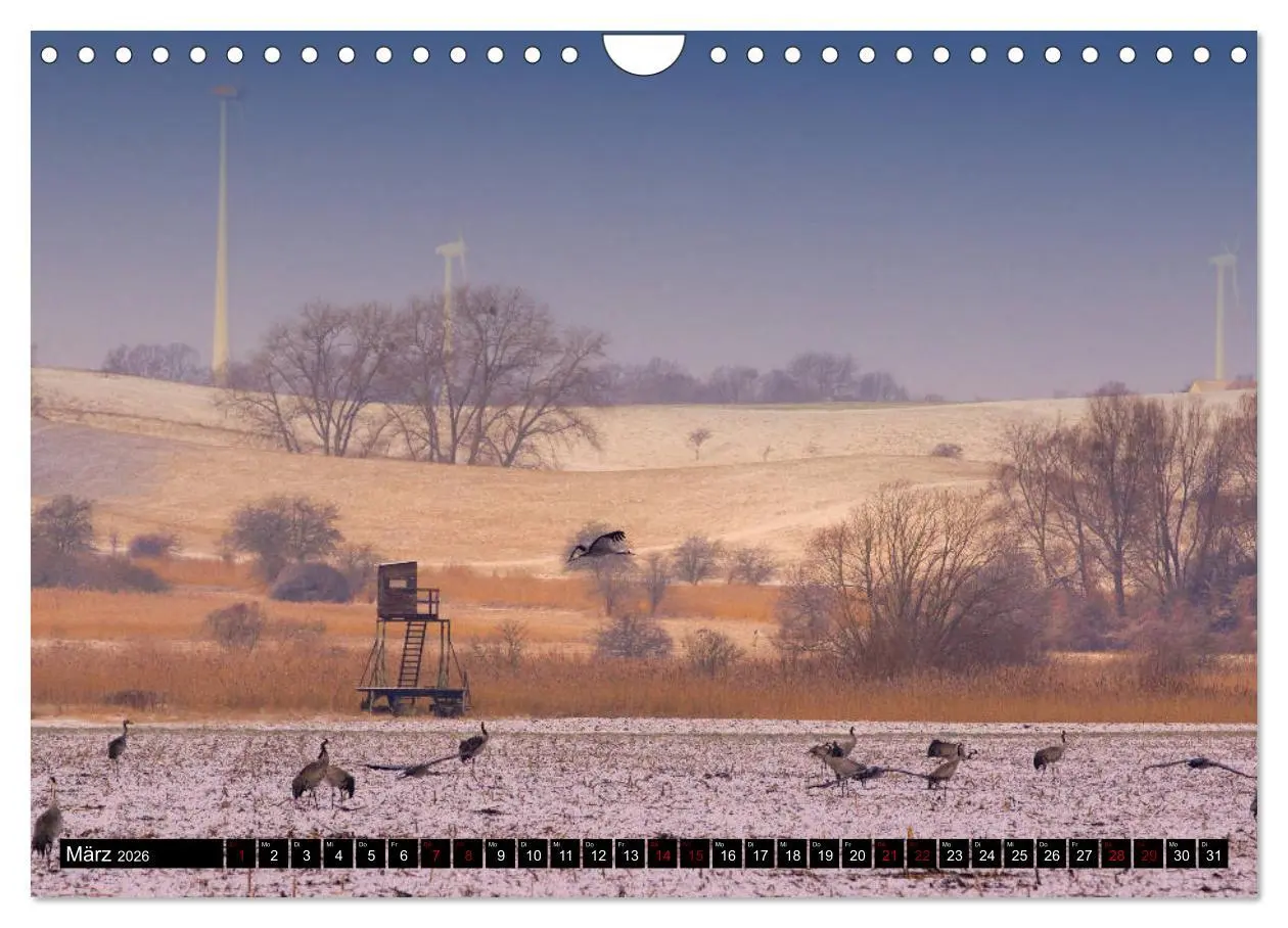 Bild: 9783457901984 | Oderlandschaft (Wandkalender 2026 DIN A4 quer), CALVENDO...