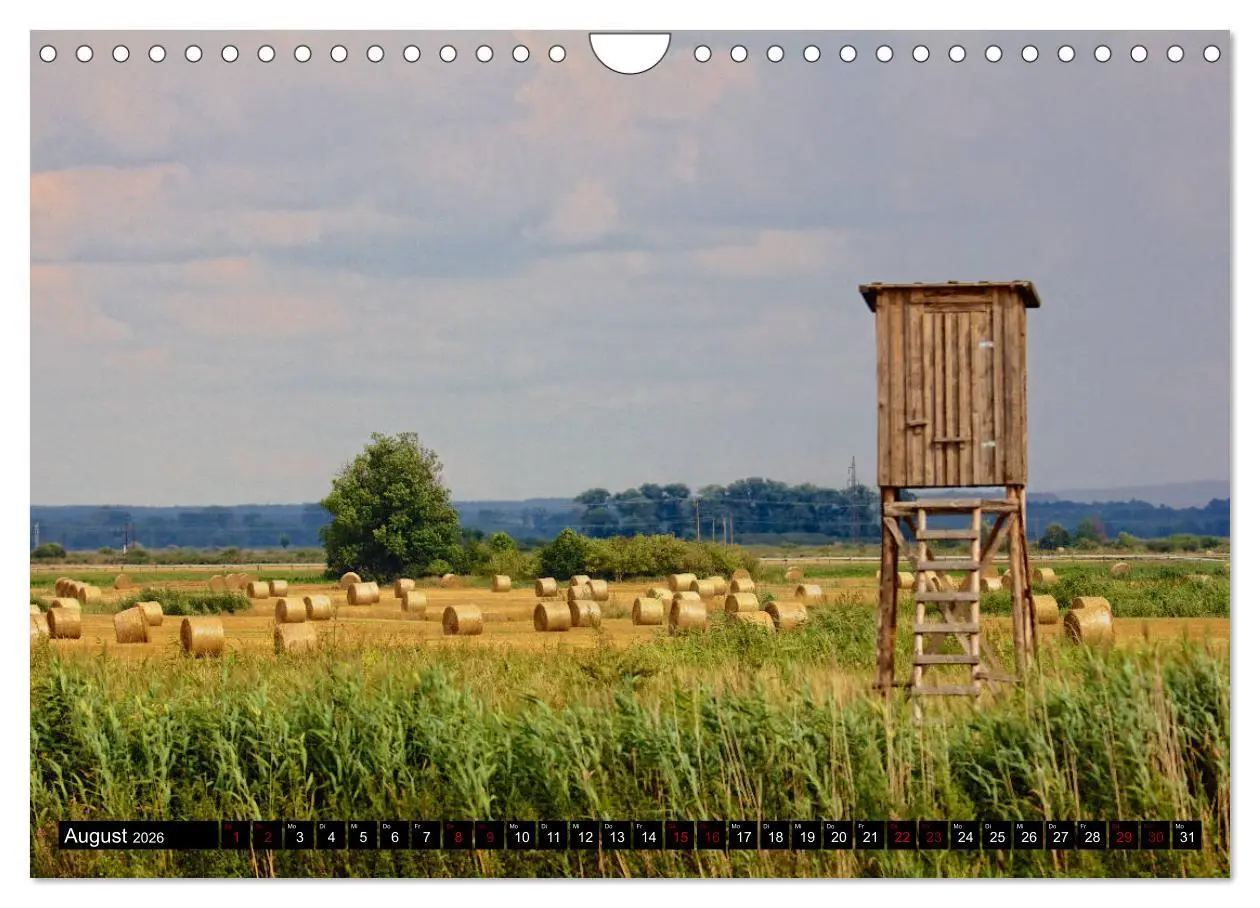 Bild: 9783457901984 | Oderlandschaft (Wandkalender 2026 DIN A4 quer), CALVENDO...