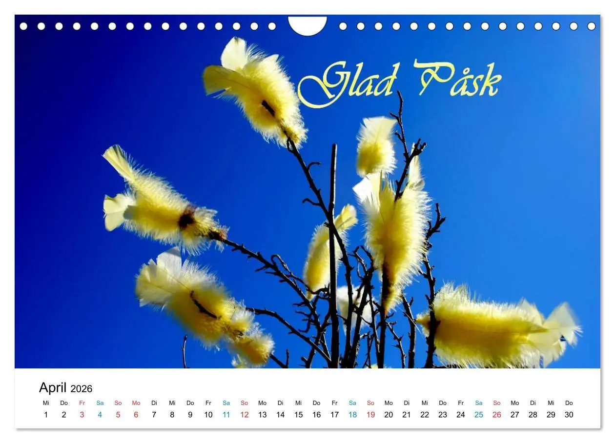 Bild: 9783516231984 | Schweden (Wandkalender 2026 DIN A4 quer), CALVENDO Monatskalender
