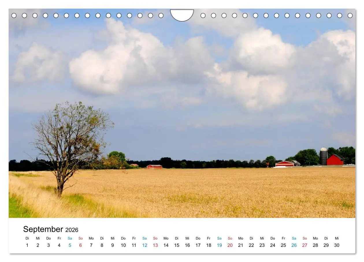 Bild: 9783516231984 | Schweden (Wandkalender 2026 DIN A4 quer), CALVENDO Monatskalender