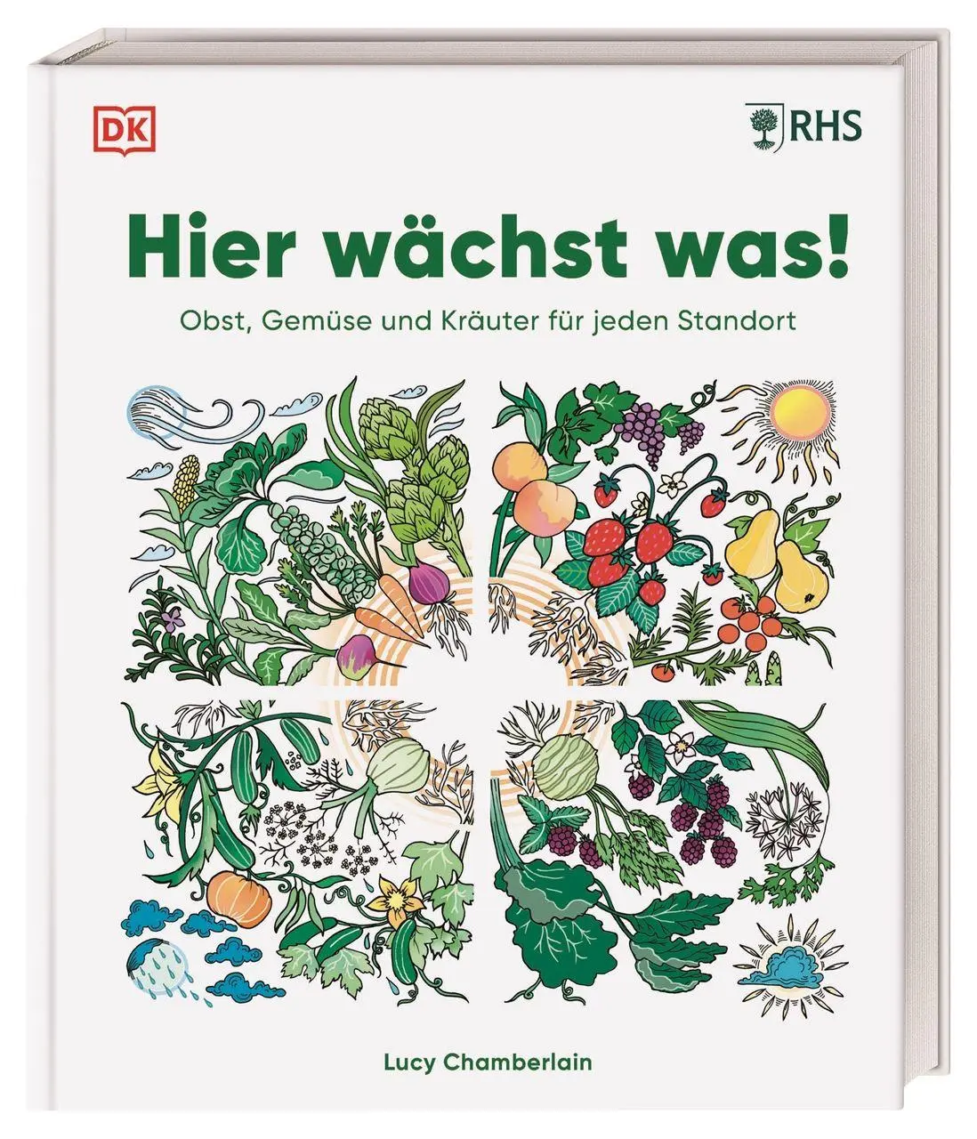 Cover: 9783831051984 | Hier wächst was! | Lucy Chamberlain | Buch | 224 S. | Deutsch | 2026