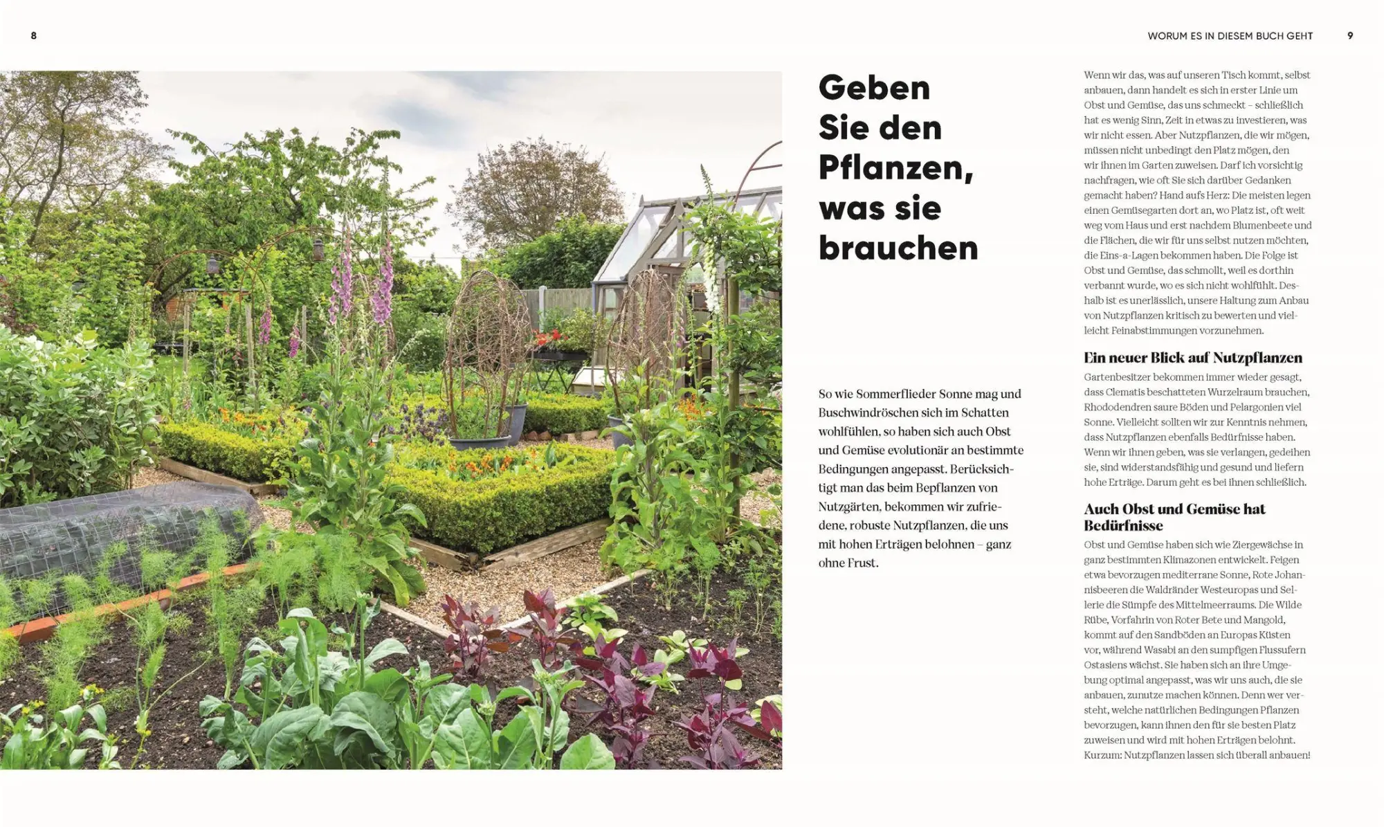 Bild: 9783831051984 | Hier wächst was! | Lucy Chamberlain | Buch | 224 S. | Deutsch | 2026