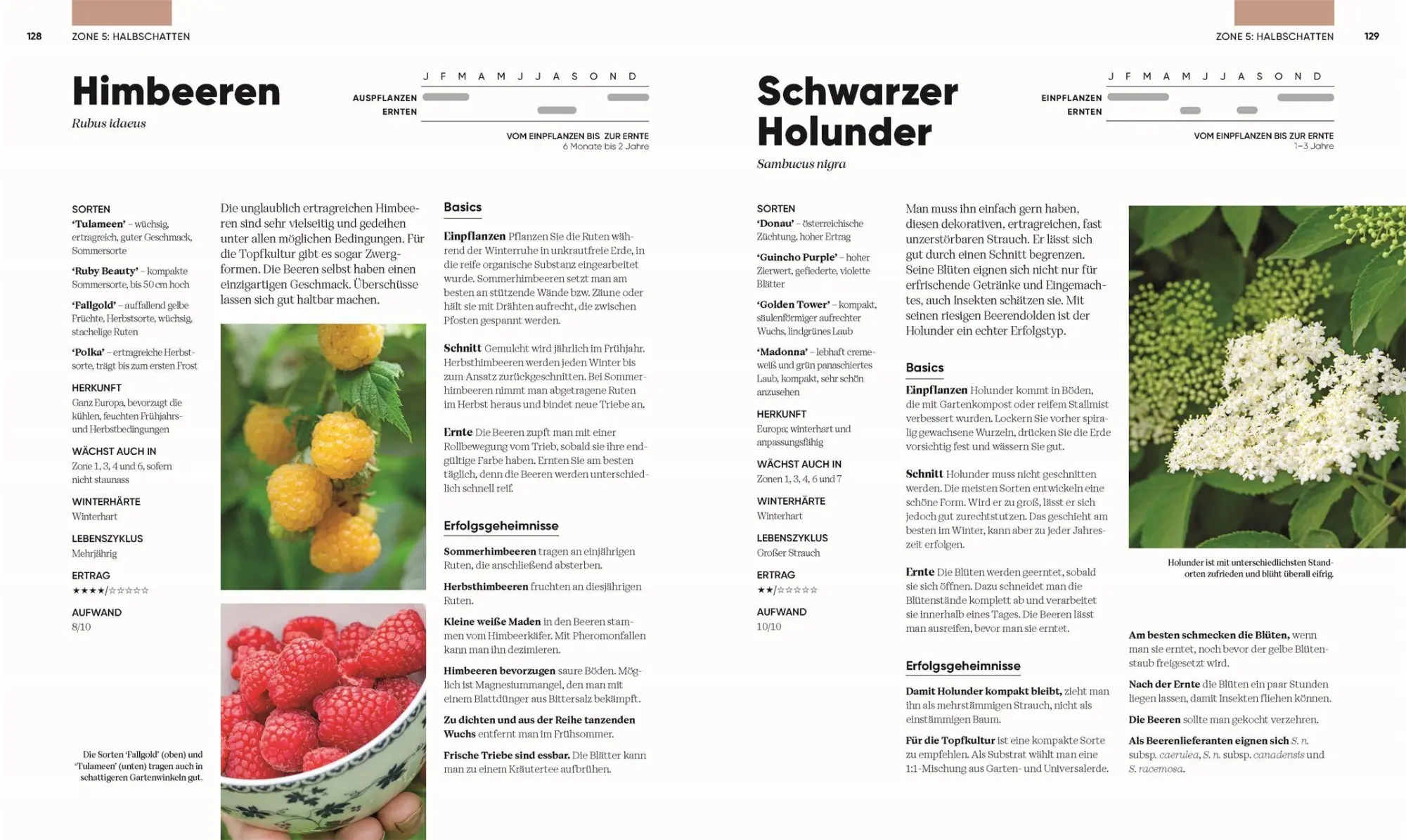 Bild: 9783831051984 | Hier wächst was! | Lucy Chamberlain | Buch | 224 S. | Deutsch | 2026