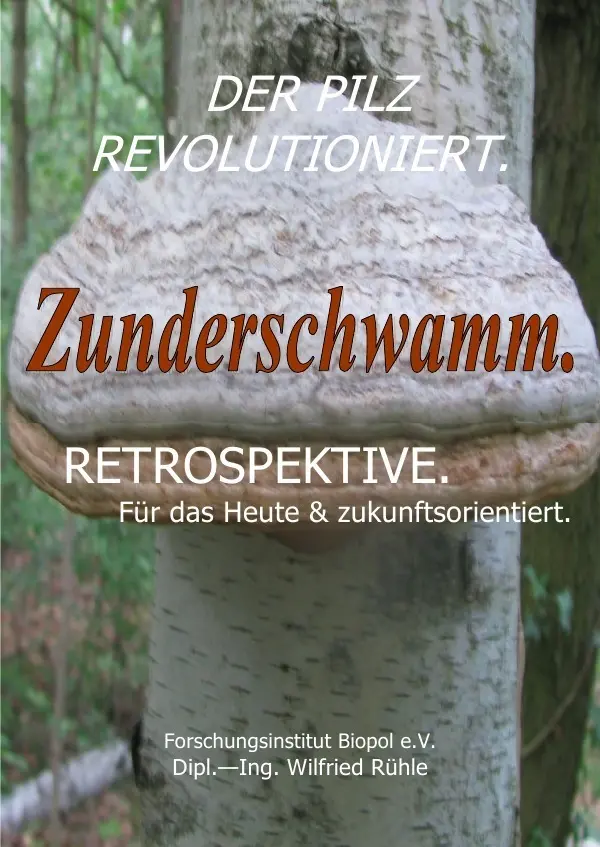 Cover: 9783752982084 | Der Pilz revolutioniert. Zunderschwamm. Retrospektive. Für das...