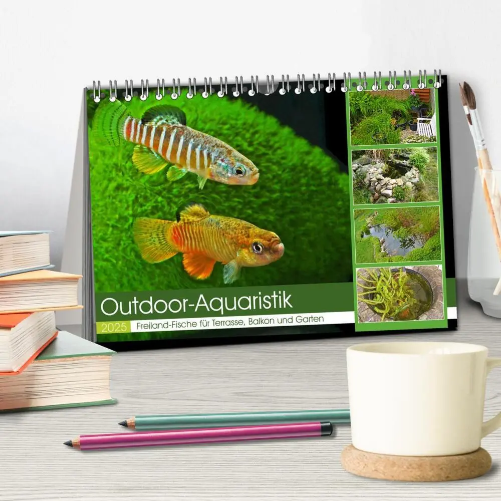 Bild: 9783383912184 | Outdoor-Aquaristik (Tischkalender 2025 DIN A5 quer), CALVENDO...