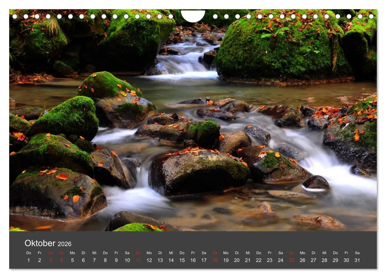 Bild: 9783516042184 | Romantisches Allgäu (Wandkalender 2026 DIN A4 quer), CALVENDO...