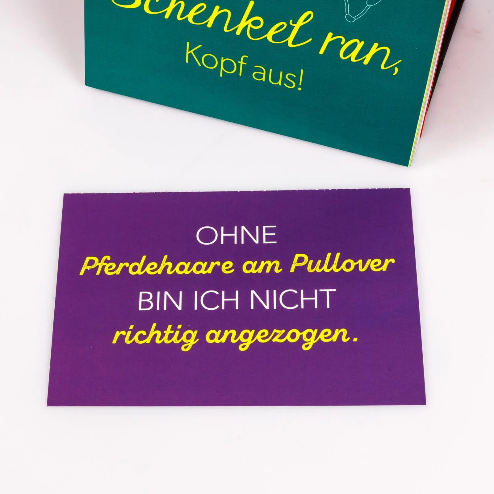Bild: 9783830322184 | Pferdemädchen 2026 - Ein Leben ohne Pferd ist möglich, aber sinnlos