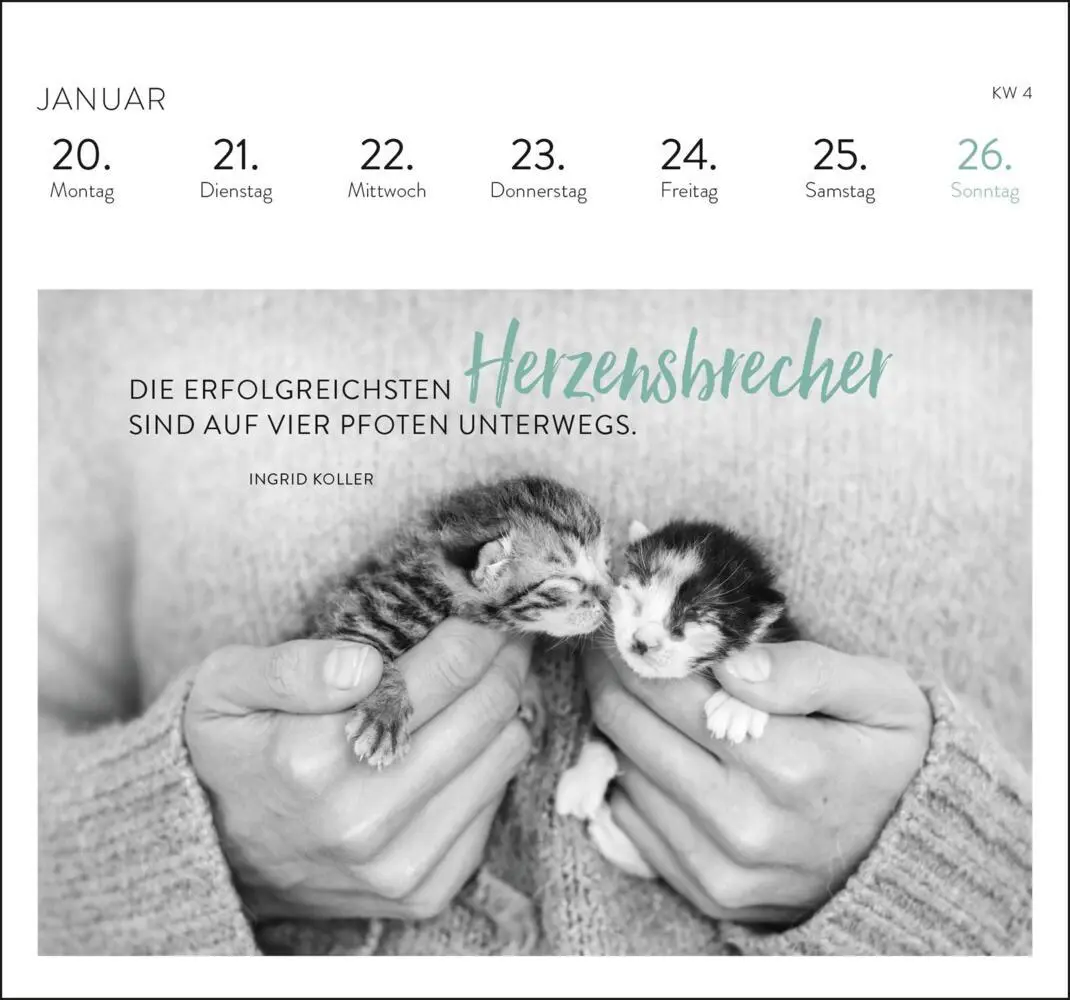 Bild: 4036442012284 | Postkartenkalender 2025: Inspirierende Worte für Katzenfreunde | 2025