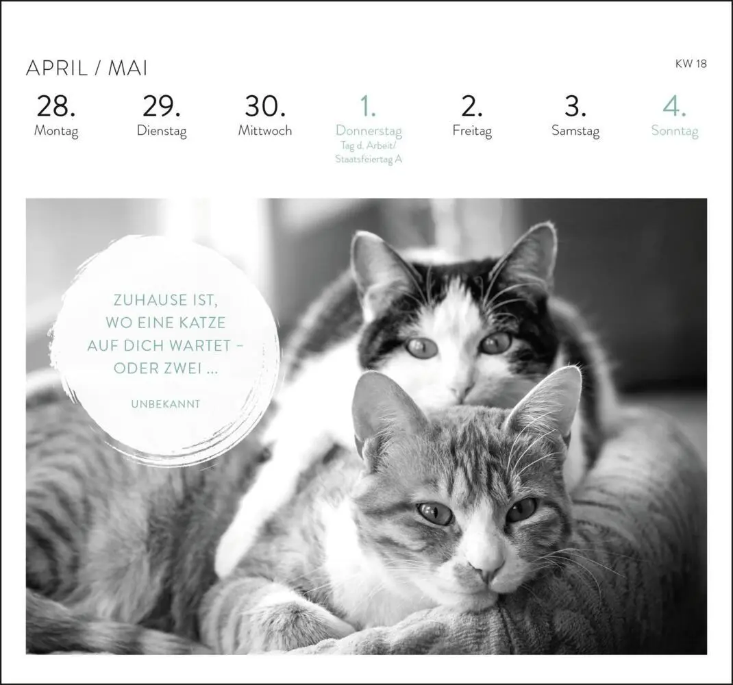 Bild: 4036442012284 | Postkartenkalender 2025: Inspirierende Worte für Katzenfreunde | 2025