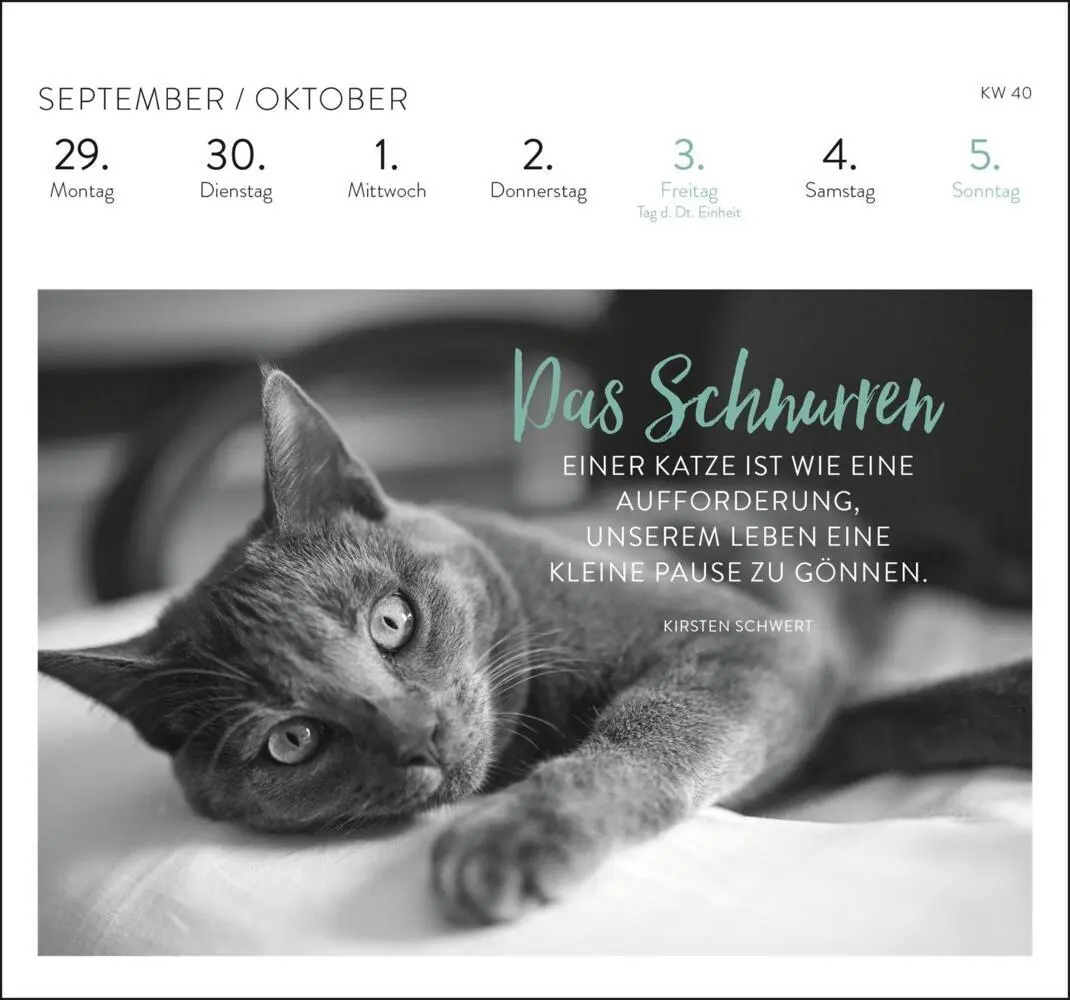 Bild: 4036442012284 | Postkartenkalender 2025: Inspirierende Worte für Katzenfreunde | 2025