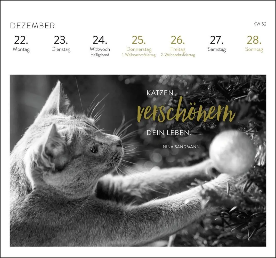 Bild: 4036442012284 | Postkartenkalender 2025: Inspirierende Worte für Katzenfreunde | 2025