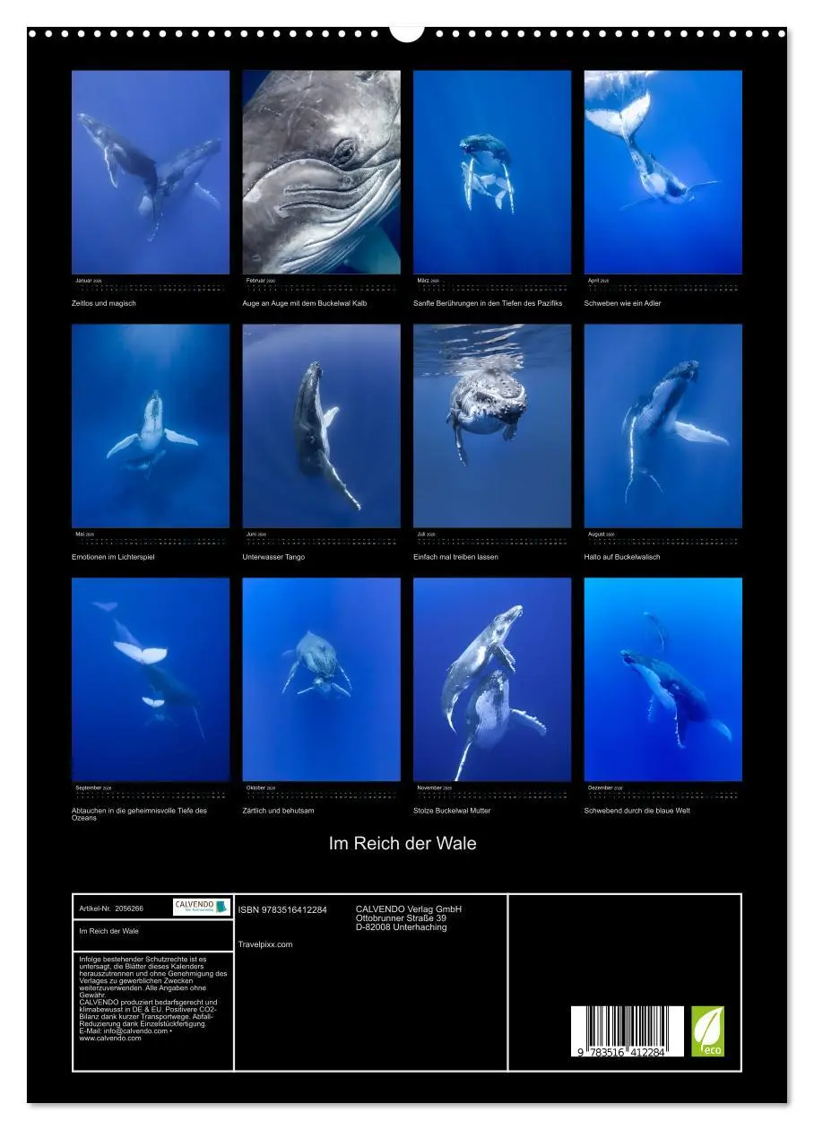 Bild: 9783516412284 | Im Reich der Wale (hochwertiger Premium Wandkalender 2026 DIN A2...