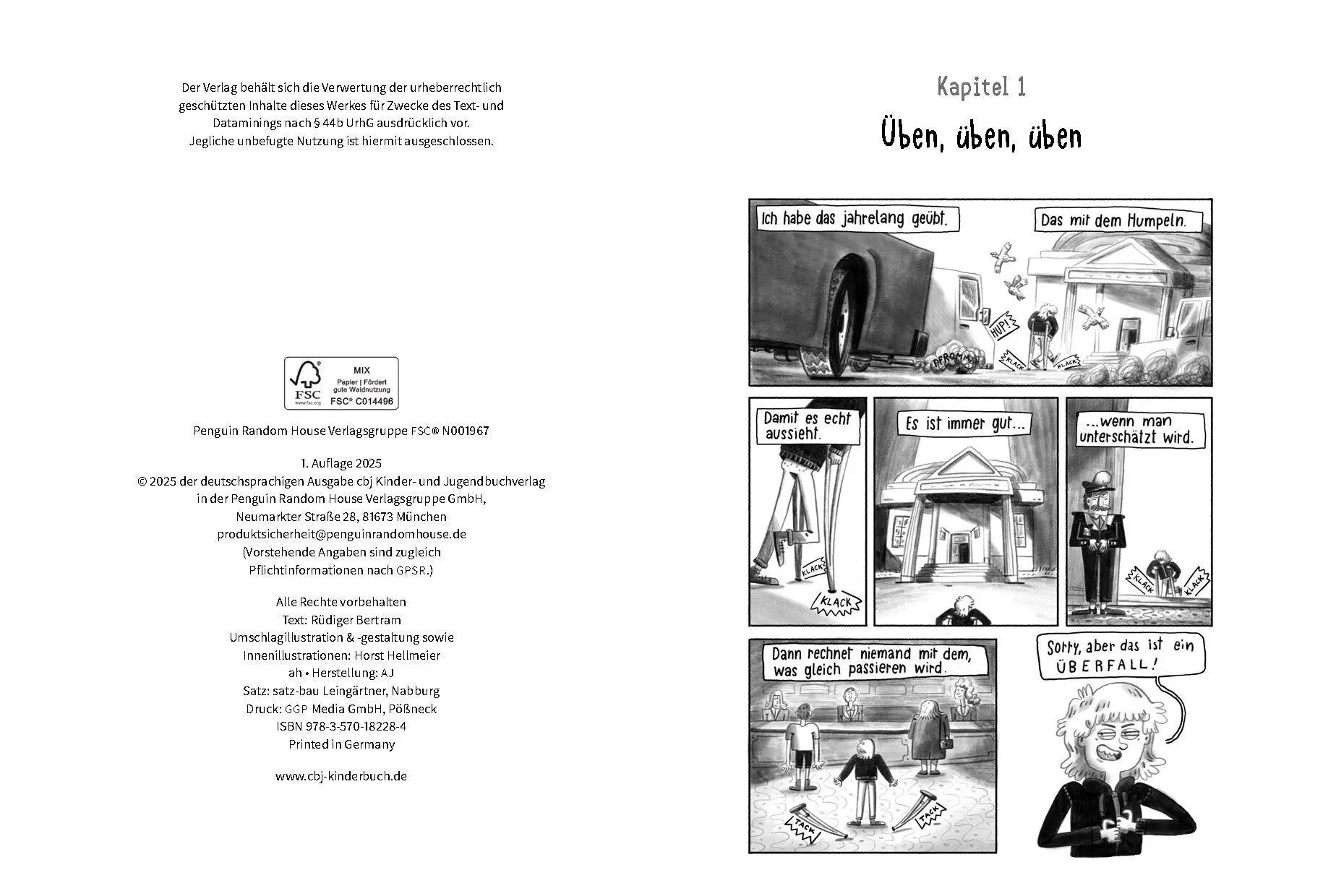 Bild: 9783570182284 | Robin the Hood - Wie klaut man eine Stadt? | Rüdiger Bertram | Buch