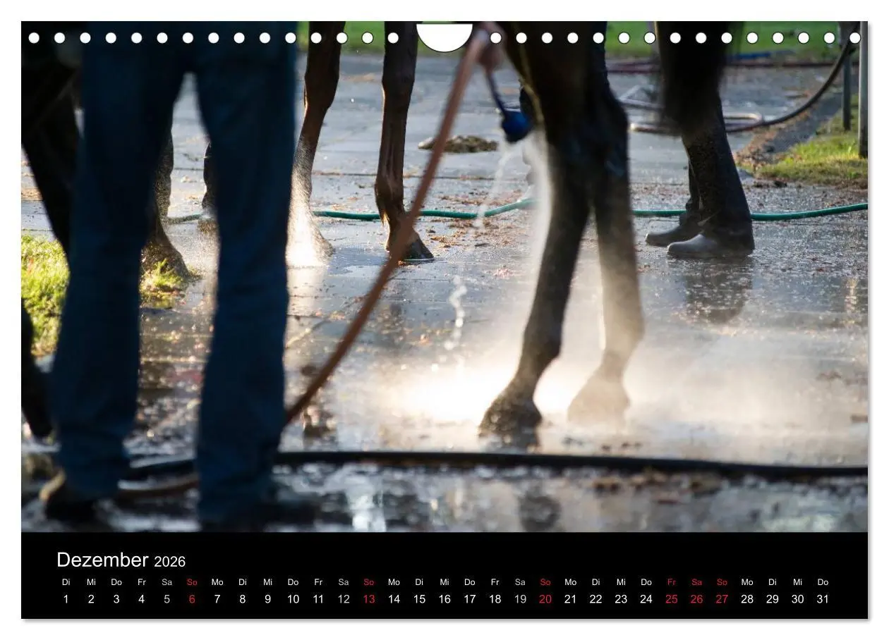 Bild: 9783516192384 | Faszination Galopprennen in Baden-Baden (Wandkalender 2026 DIN A4...