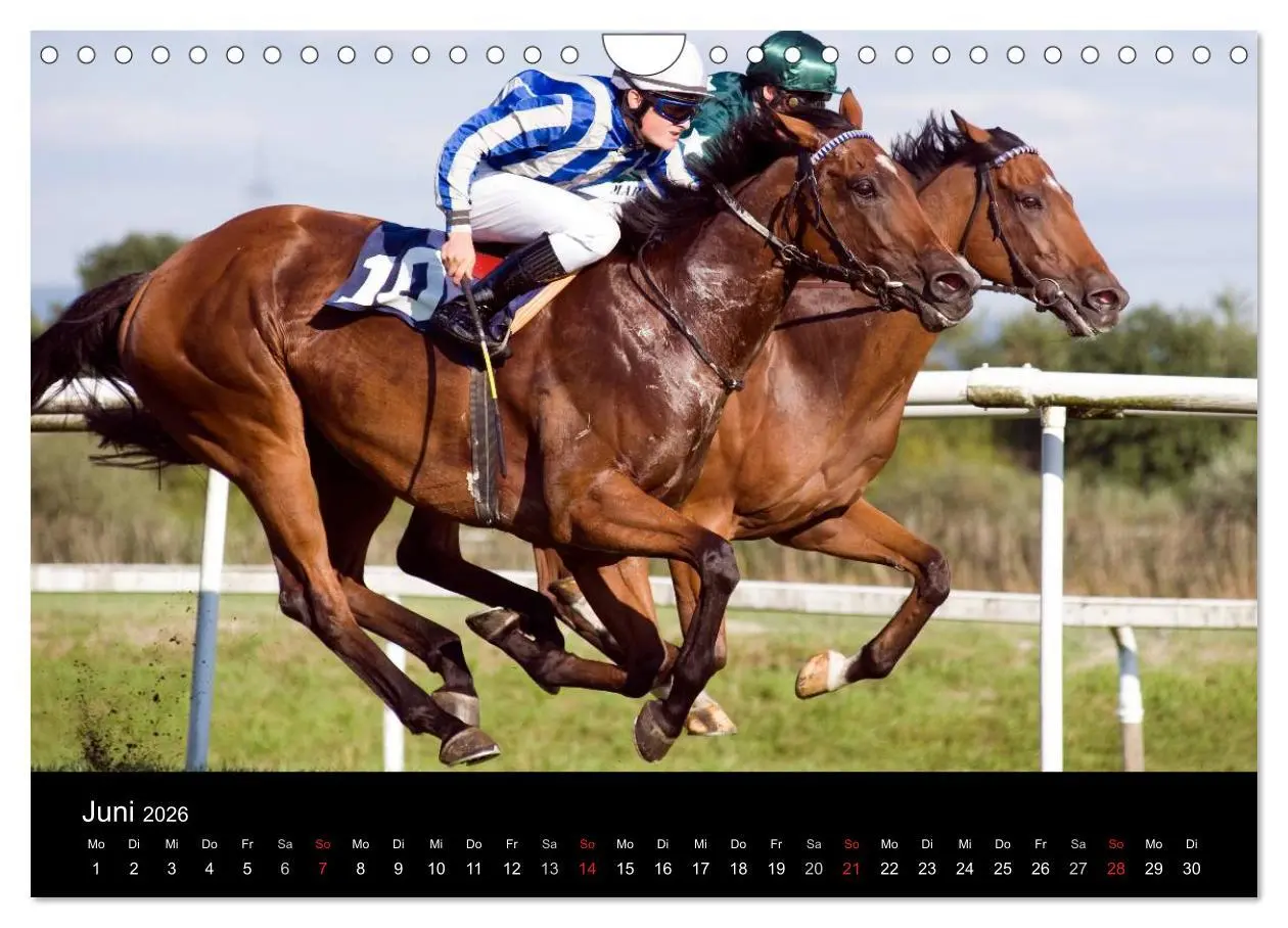 Bild: 9783516192384 | Faszination Galopprennen in Baden-Baden (Wandkalender 2026 DIN A4...