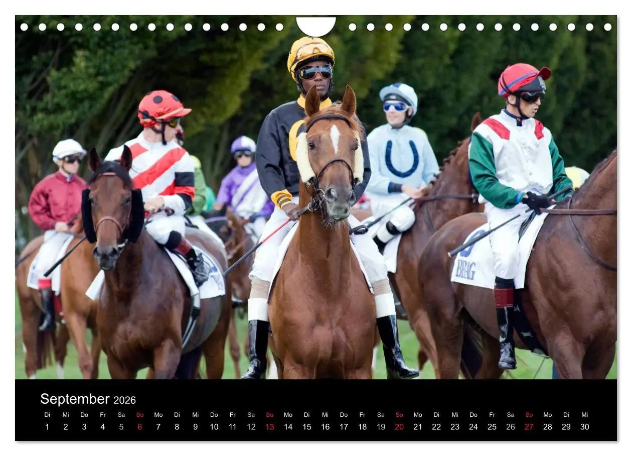 Bild: 9783516192384 | Faszination Galopprennen in Baden-Baden (Wandkalender 2026 DIN A4...
