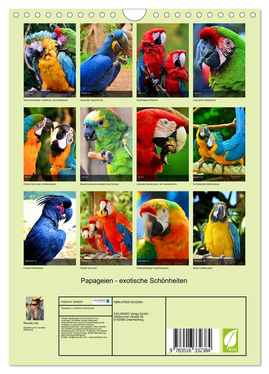 Bild: 9783516332384 | Papageien - exotische Schönheiten (Wandkalender 2026 DIN A4 hoch),...