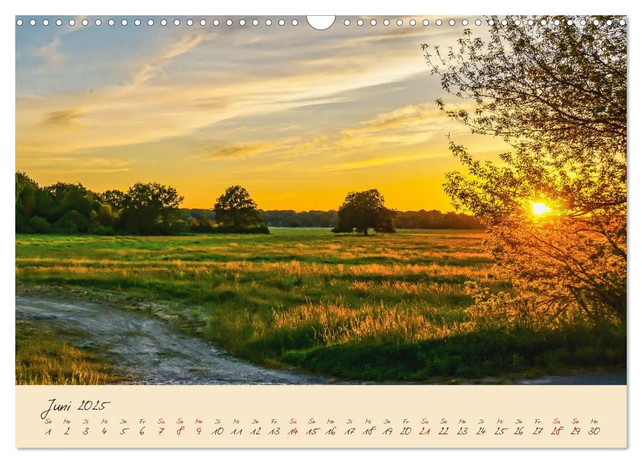 Bild: 9783383982484 | Friedländer Große Wiese (Wandkalender 2025 DIN A3 quer), CALVENDO...
