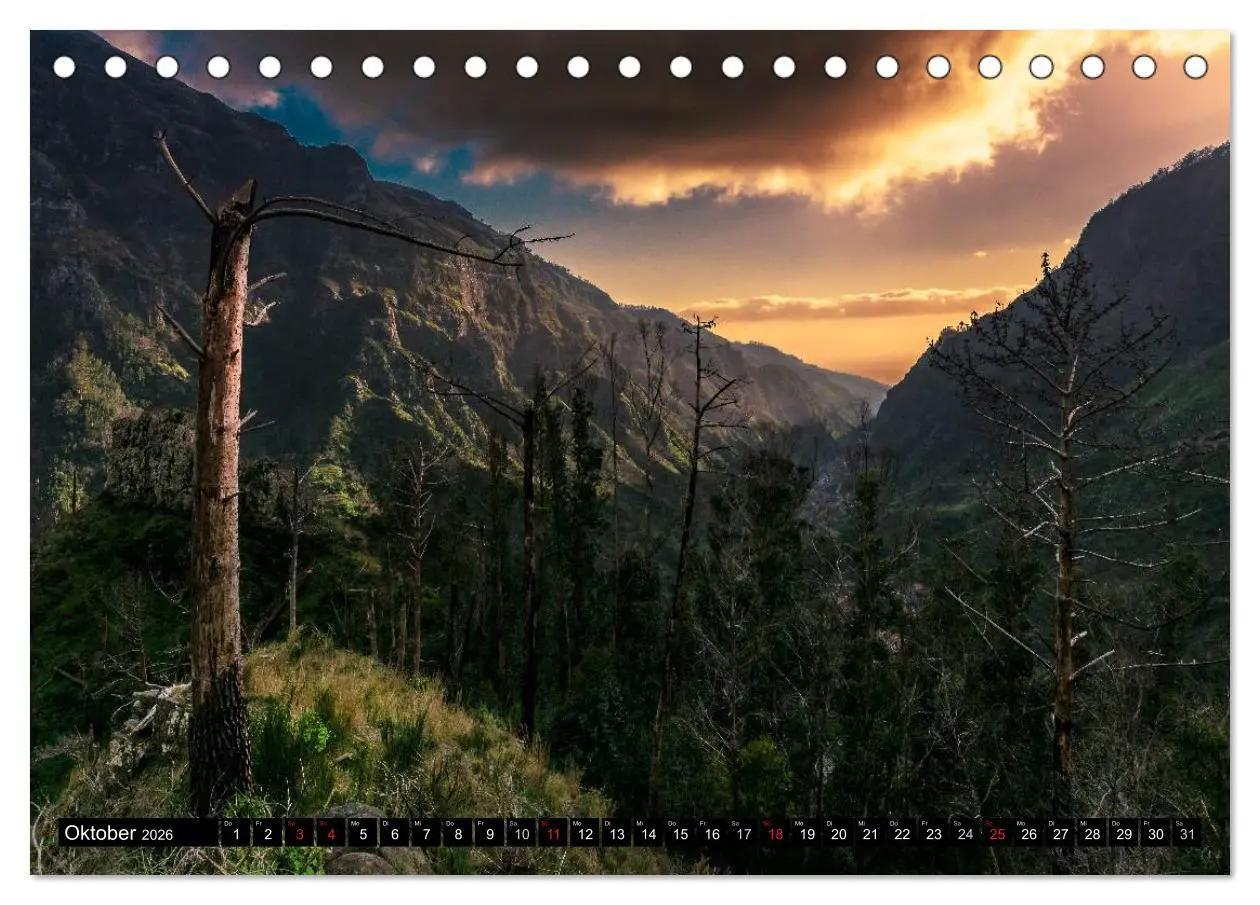 Bild: 9783516012484 | Madeira - Eine Perle des Atlantiks (Tischkalender 2026 DIN A5...