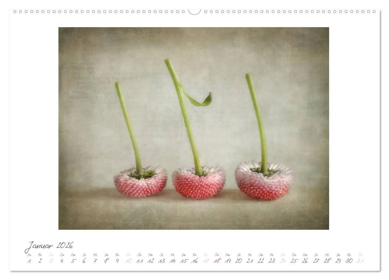 Bild: 9783516182484 | Vintage Flowers (Wandkalender 2026 DIN A2 quer), CALVENDO...