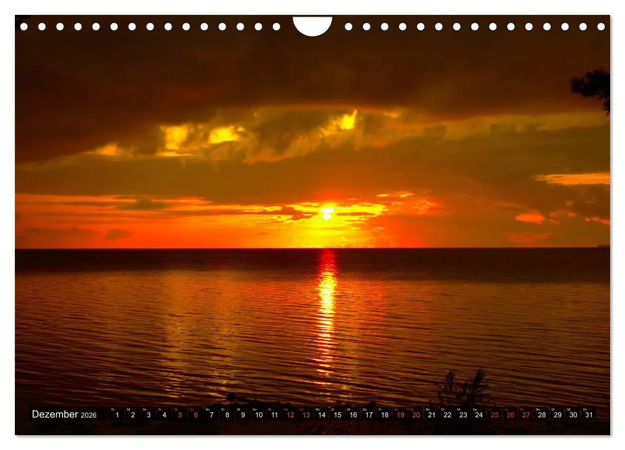 Bild: 9783457772584 | Bezauberndes Estland (Wandkalender 2026 DIN A4 quer), CALVENDO...