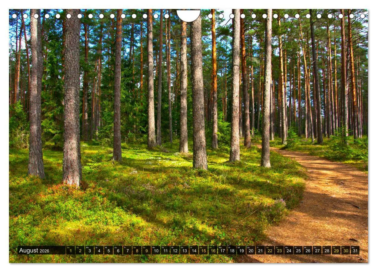 Bild: 9783457772584 | Bezauberndes Estland (Wandkalender 2026 DIN A4 quer), CALVENDO...