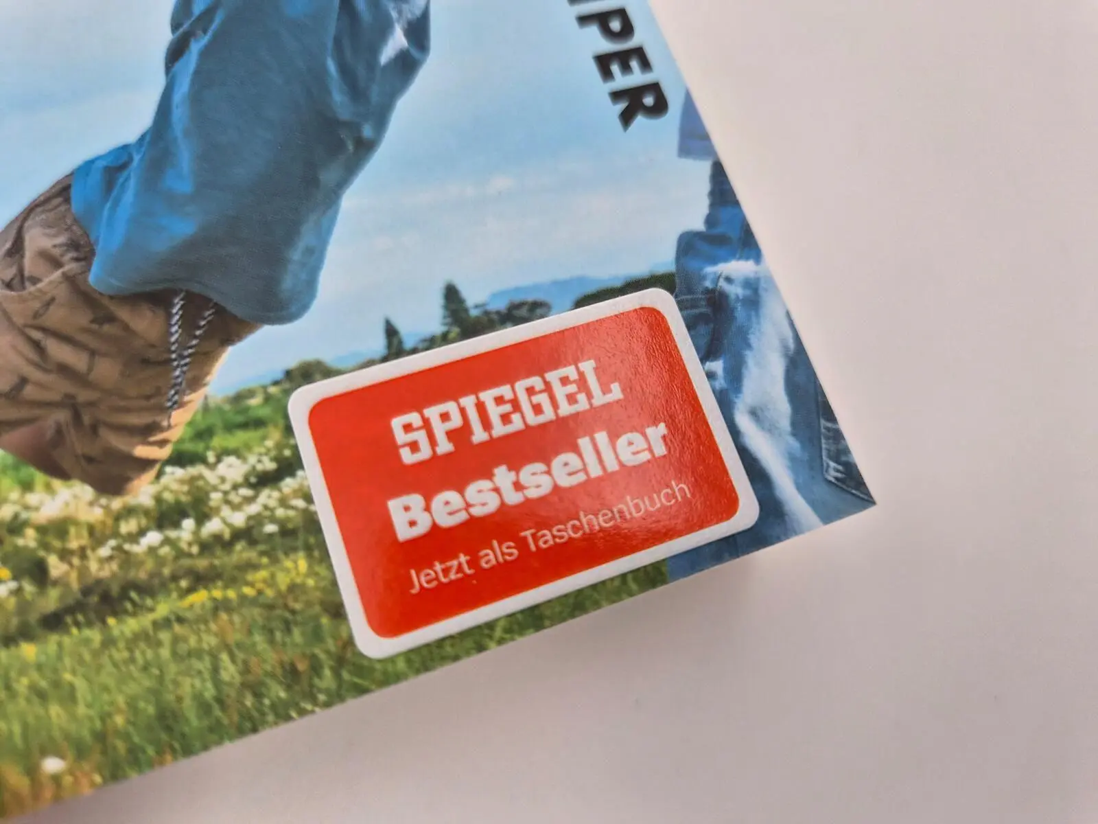 Bild: 9783492322584 | Mit Herz und Klarheit | Herbert Renz-Polster | Taschenbuch | 432 S.