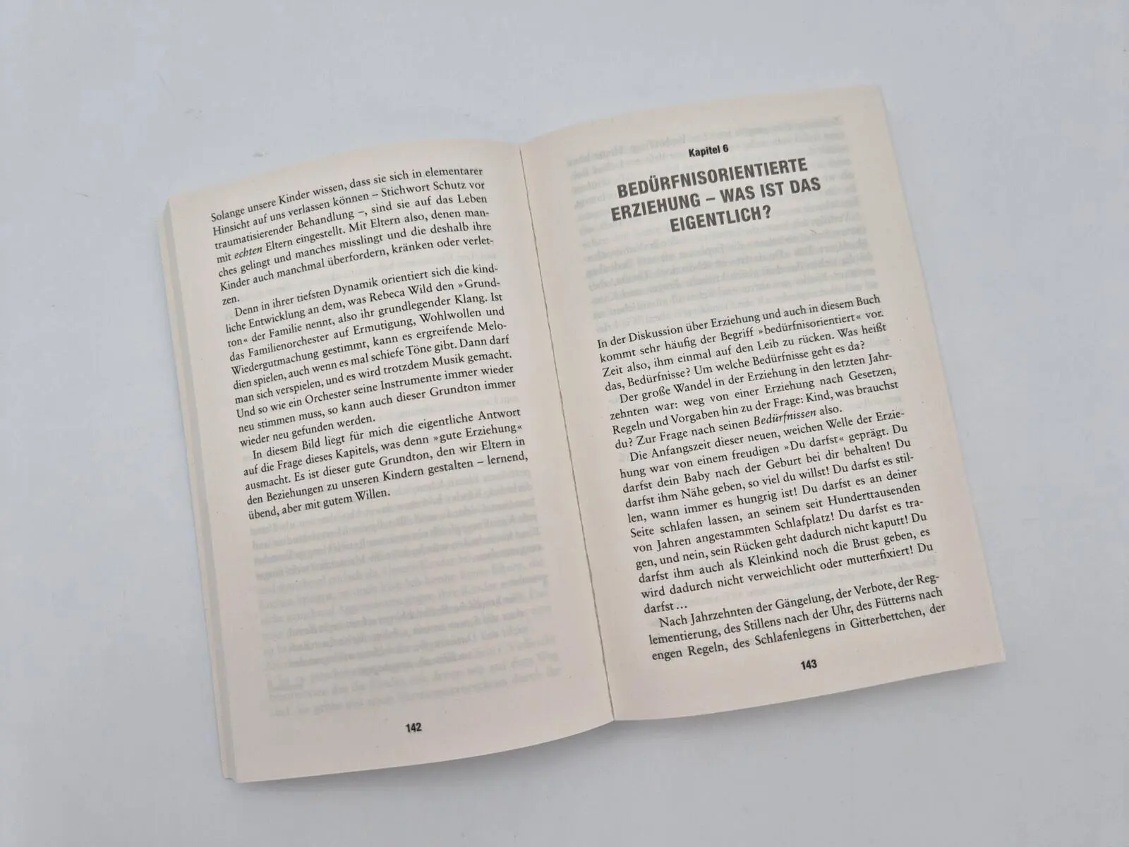 Bild: 9783492322584 | Mit Herz und Klarheit | Herbert Renz-Polster | Taschenbuch | 432 S.
