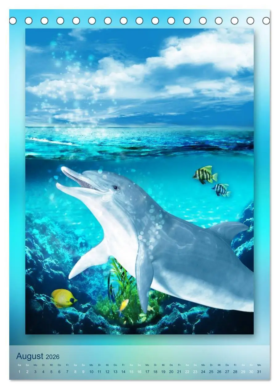 Bild: 9783516482584 | Delfine - Kalender (Tischkalender 2026 DIN A5 hoch), CALVENDO...