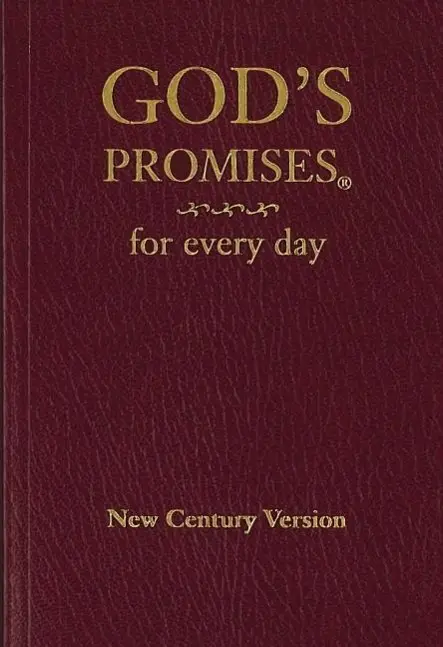 Cover: 9780849962684 | God's Promises for Every Day | Jack Countryman (u. a.) | Taschenbuch