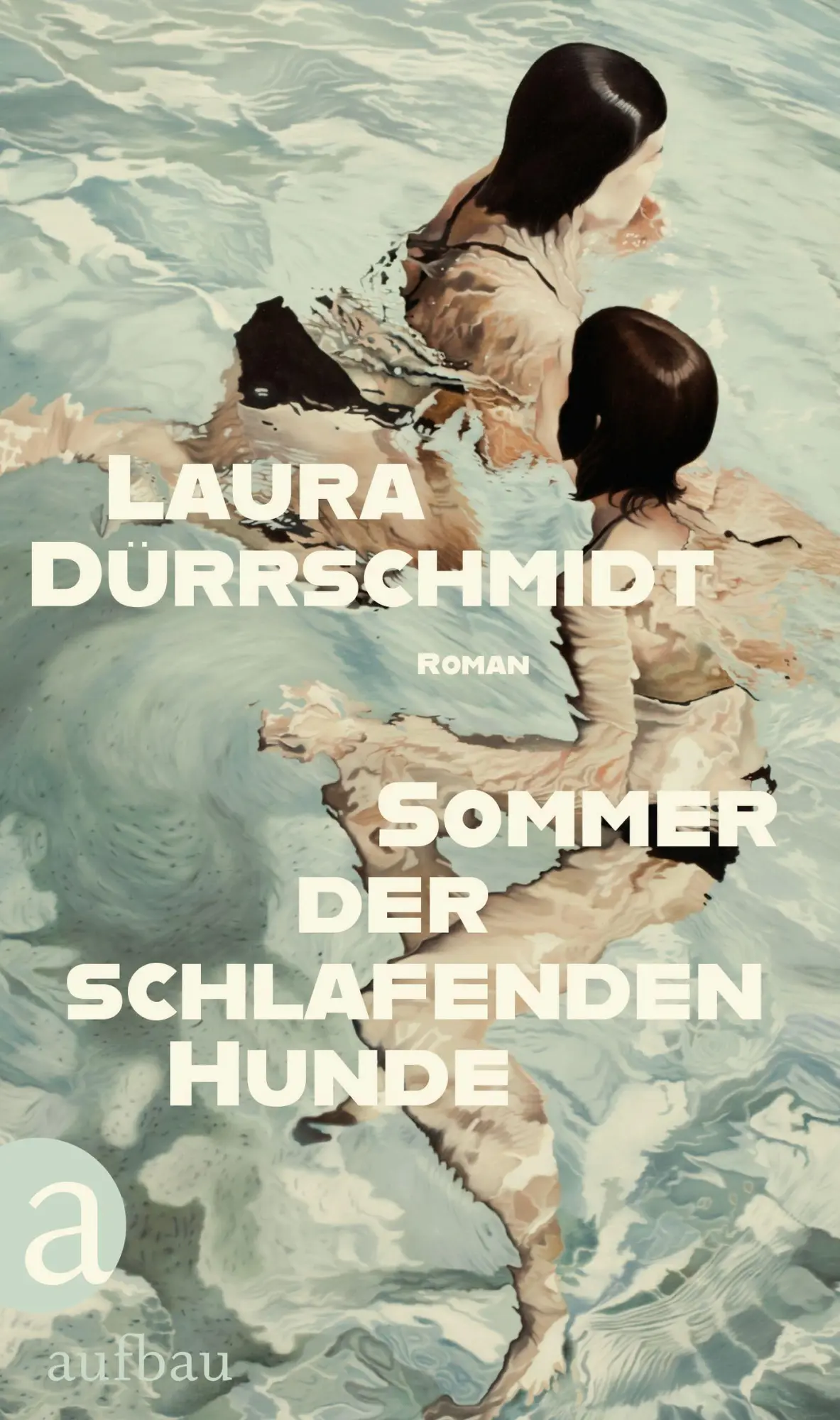 Cover: 9783351042684 | Sommer der schlafenden Hunde | Roman | Laura Dürrschmidt | Buch | 2026