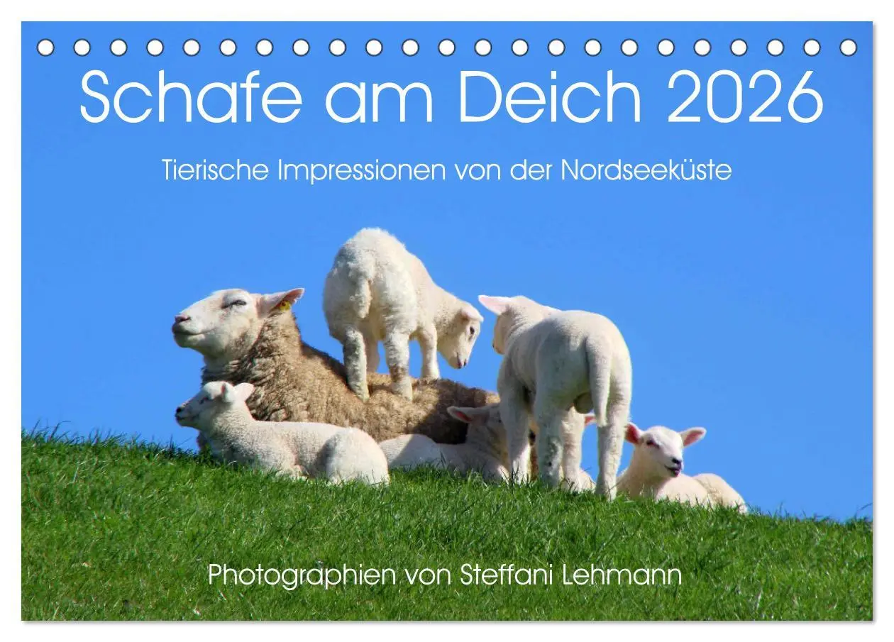 Cover: 9783516092684 | Schafe am Deich 2026. Tierische Impressionen von der Nordseeküste...