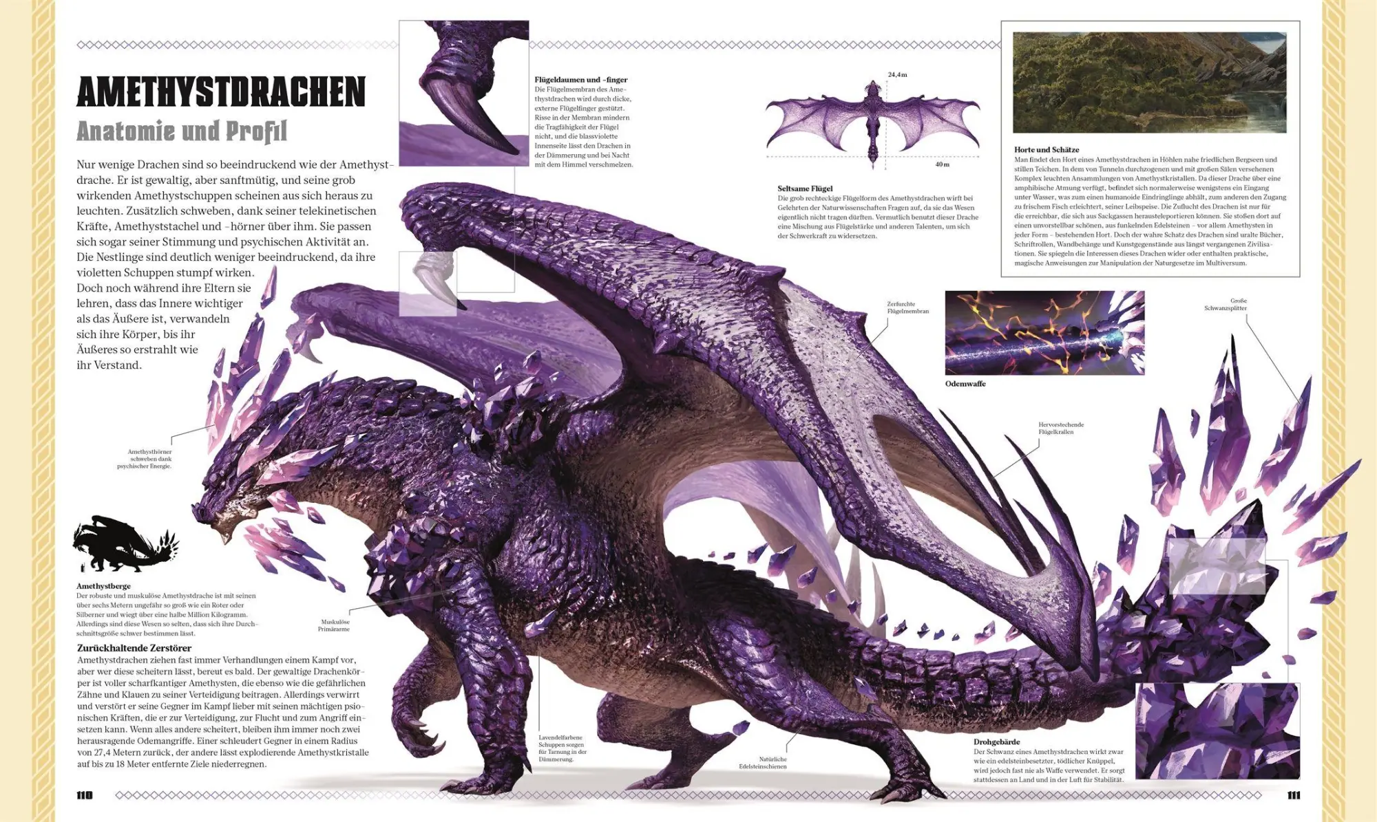 Bild: 9783831052684 | Dungeons &amp; Dragons Das Buch der Drachen | Michael Witwer | Buch | 2026
