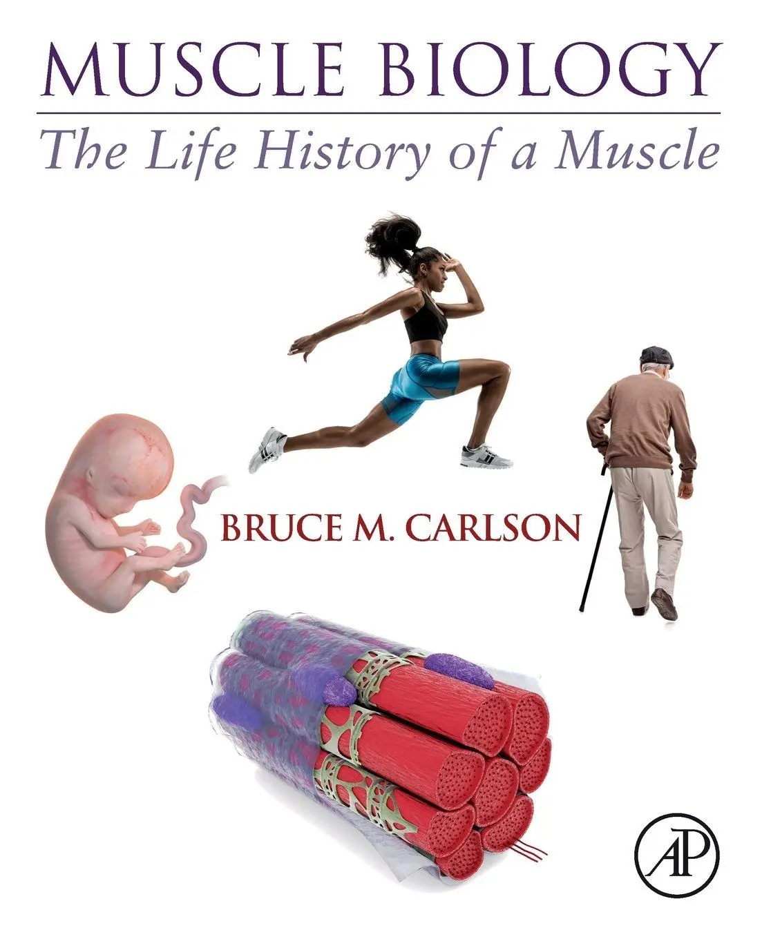 Cover: 9780128202784 | Muscle Biology | The Life History of a Muscle | Bruce M. Carlson