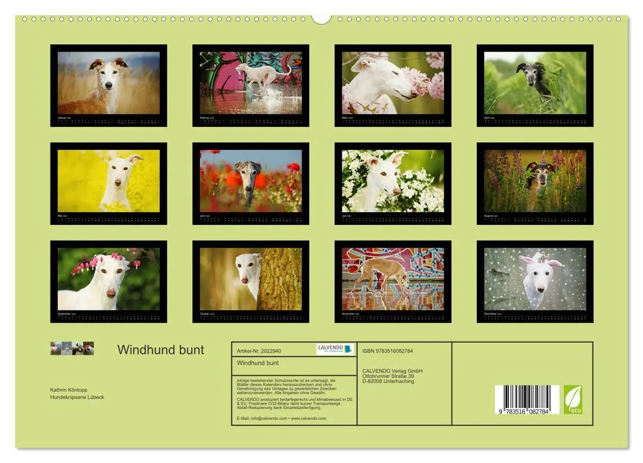 Bild: 9783516082784 | Windhund bunt (hochwertiger Premium Wandkalender 2026 DIN A2 quer),...